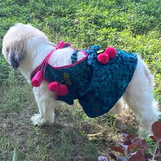Lulala Dog Dress for Girl Dogs Black Ethnic Frock with Tie-Up Stylish Indian Pet Outfit for Small, Medium & Larg Dogs Lightweight Dog Clothes