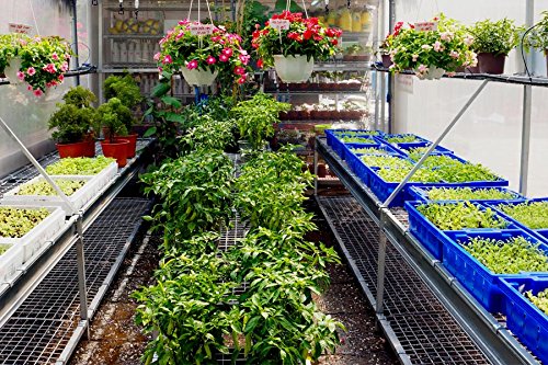 Greenhouse Plastic Film Clear Polyethylene 6 Mil 4 Year Uv Resistant Cover (8 Ft Wide X 25 Ft Long) #TOP3