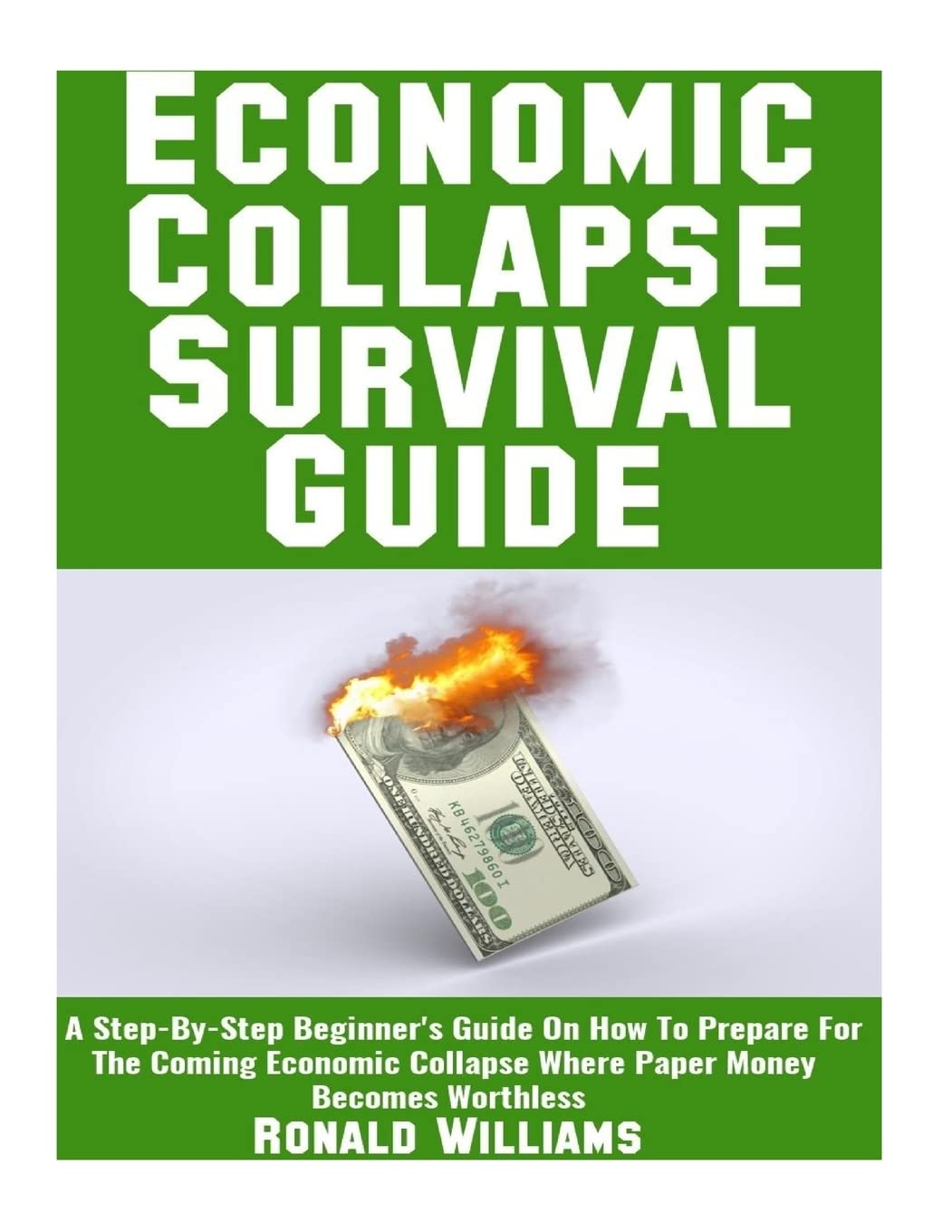 Economic Collapse Survival Guide A StepByStep Beginner's Guide On