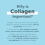 Ancient Nutrition Multi Collagen Protein Powder - Vanilla, Formulated by Dr. Josh Axe, 4 Sources, 5 Types of Collagen, 242 Grams