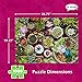 Re-marks Succulents 1000-Piece Puzzle, Artistic Jigsaw Puzzle for All Ages