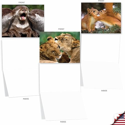 Miniatura 5 de The Best Card Company - 10 adorables tarjetas de notas en blanco (4 x 5.12 pulgadas) - Tarjetas de vida silvestre y animales, juego surtido para