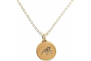 Frog Necklace: A Symbol of Prosperity and Good Fortune