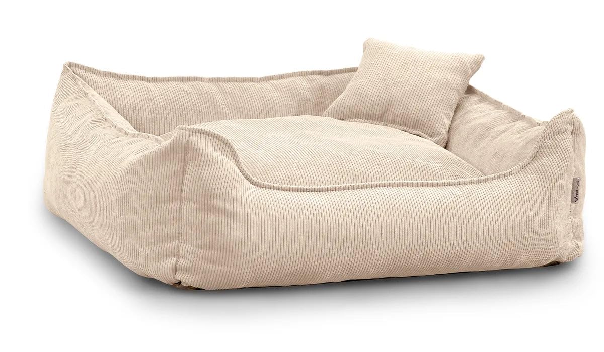 Gutekissen® Letto per Cani Lucky – Morbido Cuscino per Cani per Cani Piccoli e Grandi – Letto Lavabile per Animali Domestici con Imbottitura in Schiuma di Poliuretano e Rivestimento Rimovibile (Crema