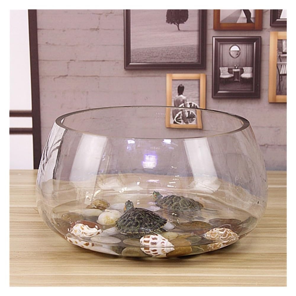 Aquarium Rundes, ökologisches, kleines, transparentes Aquarium aus Glas for Zuhause und den Schreibtisch – ideal for Bepflanzen.(25cm)