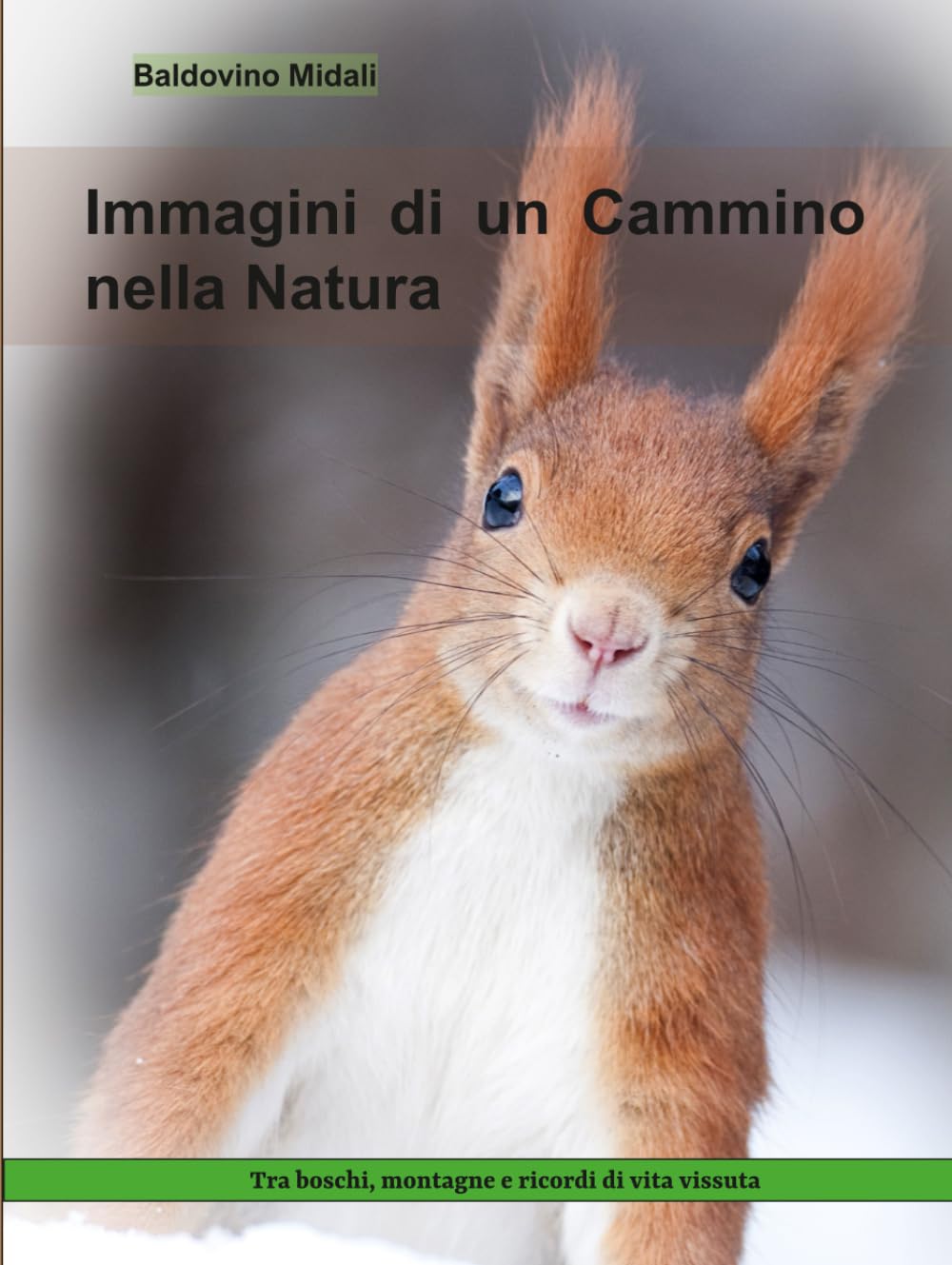 Immagini di un Cammino nella Natura livre pour s'évader du stress urbain