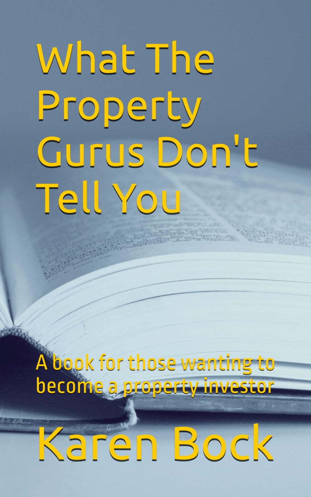 What The Property Gurus Don't Tell You