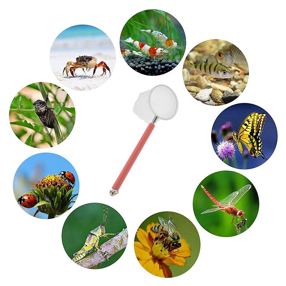 Set Di 2 Retini Mini Per Acquario – Con Manico Telescopico In Acciaio, Maglia Fine E Protezione Per Pesci Delicati