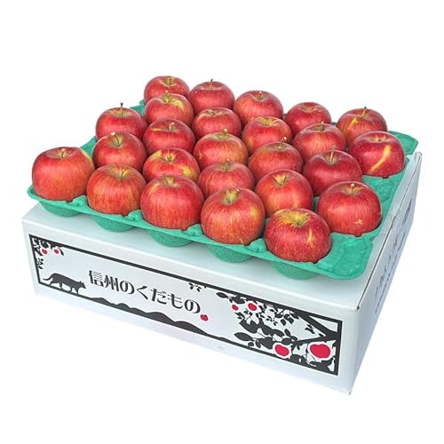 ÂăW[V[I AiBi~bNX VimXC[g5LuVimXC[g5LAiBiv S̏d4L4.8L ?33 _ѐYb 쌧Y ܖ MBY