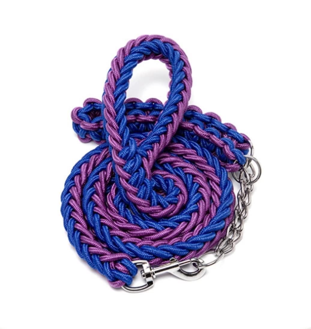 Longe Chien Collier De Chien Tressé en Nylon Et Ensemble De Laisse Corde De Traction pour Petit Moyen Grand Laisse De Chien Bull Terrier Ceinture Chien(Black,55-65cm)