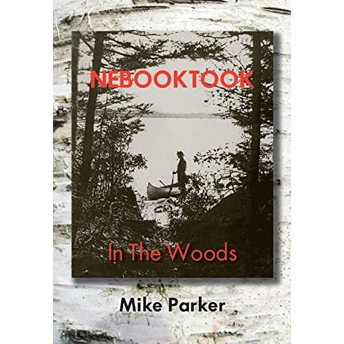 Nebooktook: In the Woods (paperback)