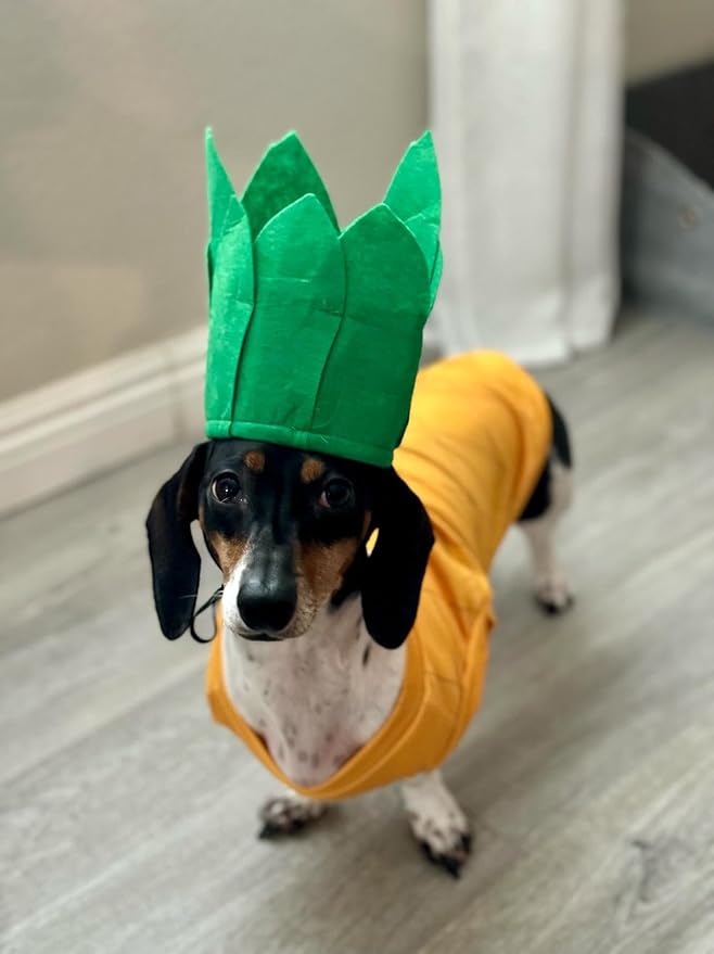 Disfraz de Piña para Perro Midlee Talla S miniatura 4