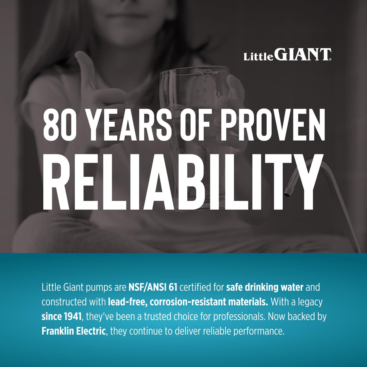 Little Giant WE20G05P4-21 115 Volt, 1/2 HP, 1560 GPH High Head Filtered Effluent/Aeration/Commercial Fountain Pump, Steel, 558223