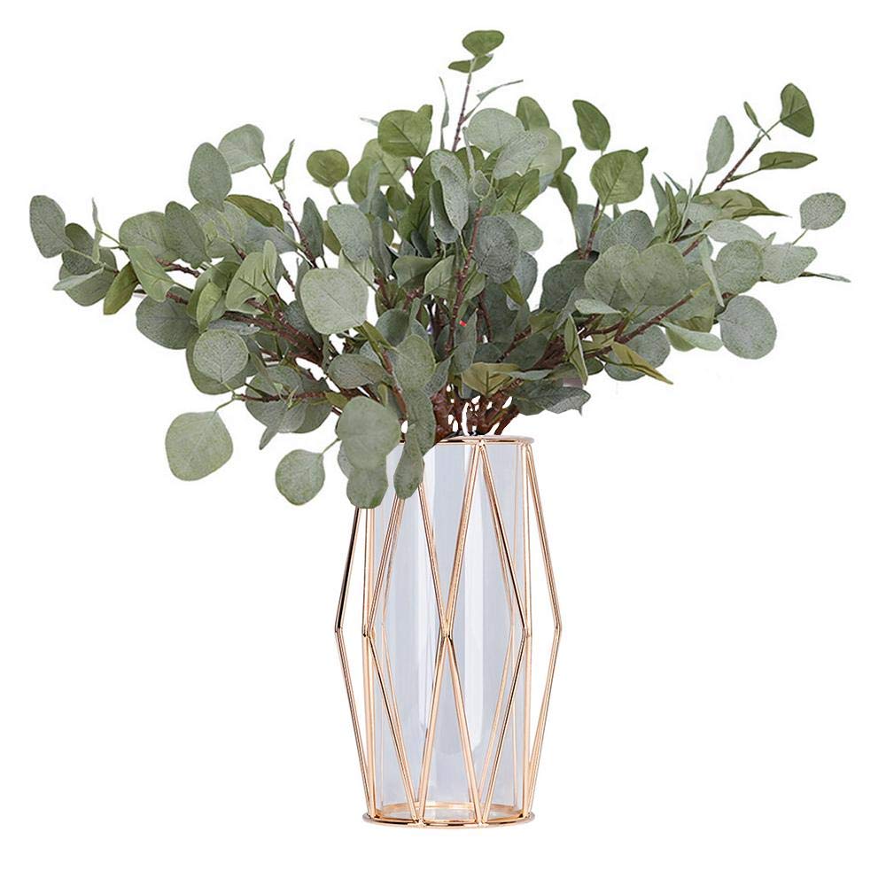 Glass Vases Eucalyptus Decor For You