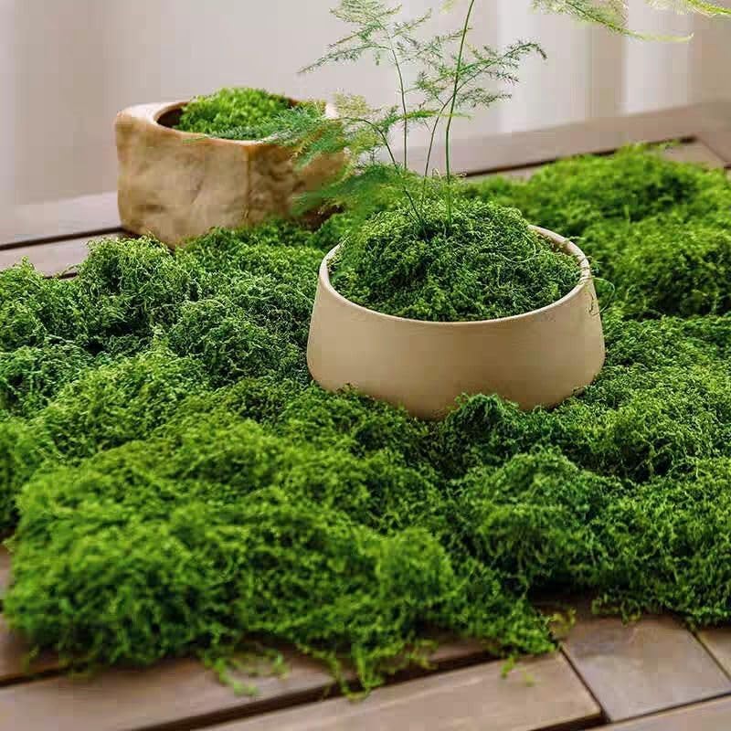 5.3 Oz/150g Artificial Fake Moss, Fake Green Moss Faux Moss for Potted Plant Craft Fairy Gardens Wedding Party - Image 6