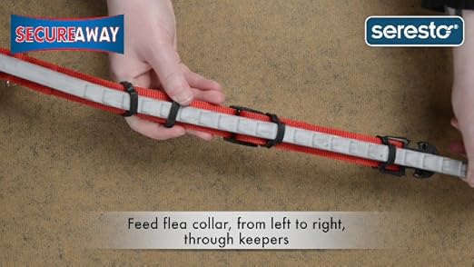 hideaway flea collar