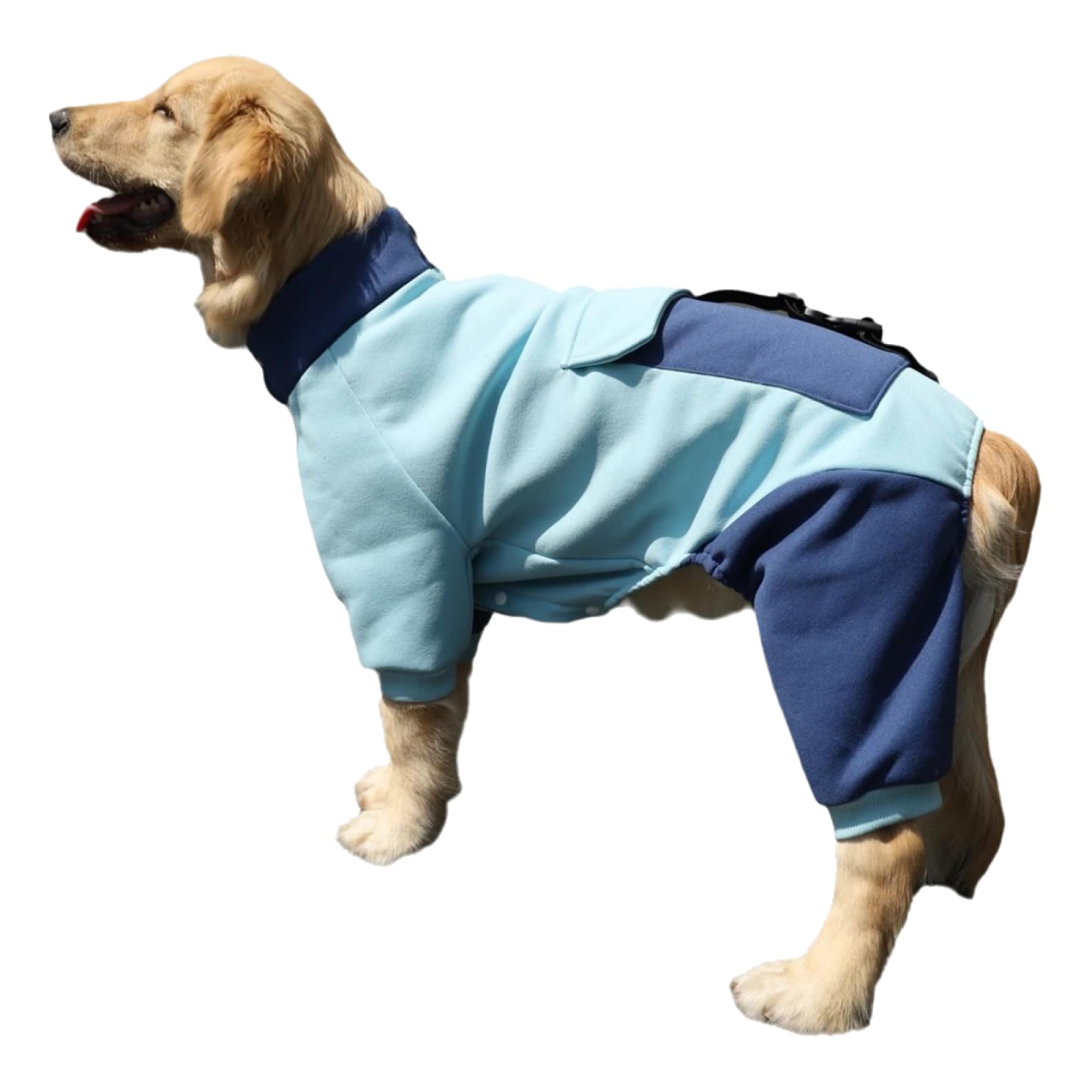 Veste de sport d'extérieur coupe-vent et résistante au froid pour chien 7XL