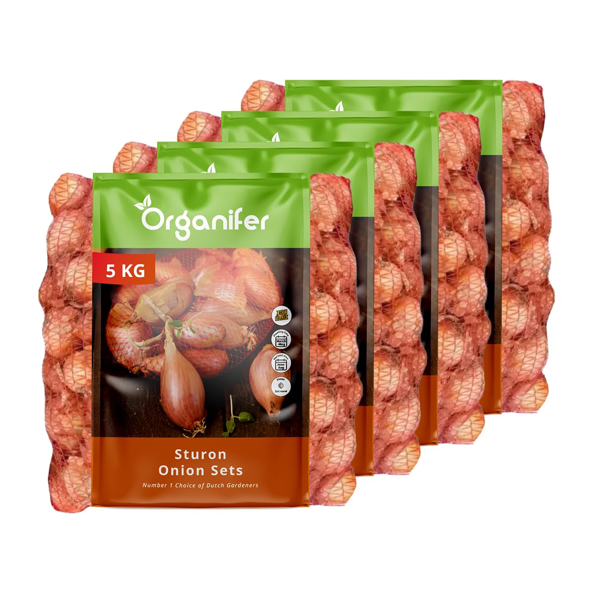 Oignons Sturon 14/21-20kg