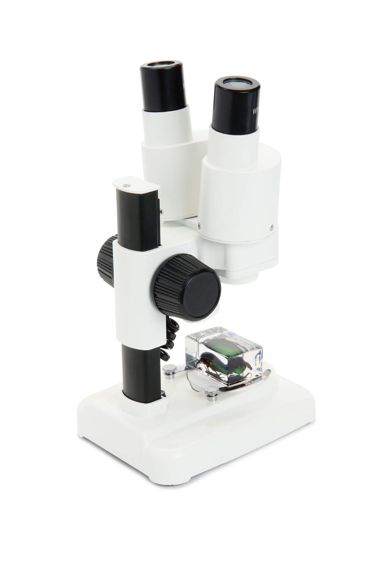 Celestron 44207 Labs CL-S20 Microscopio stereo