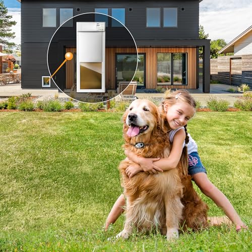 Power Pet Electronic Pet Door - Medium - PX-1