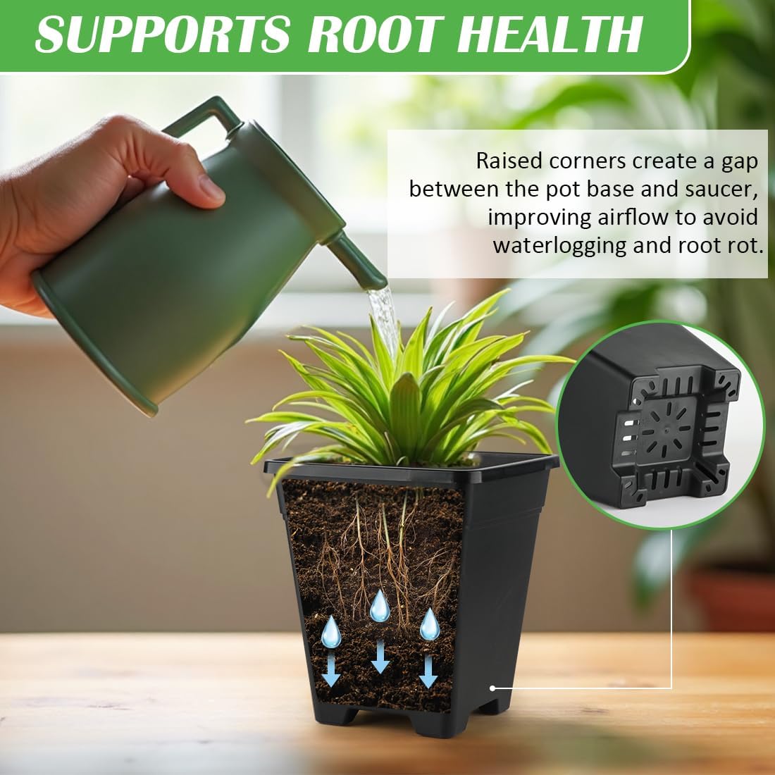 6 Inch Square Plant Pots, 10 Pack Plastic Planter with Drainage Hole, 0.5 Gallon Lightweight Planter Pots for Indoor Plants, Outdoor Modern Decorative Garden Flower Container Plastic Pots for Plants