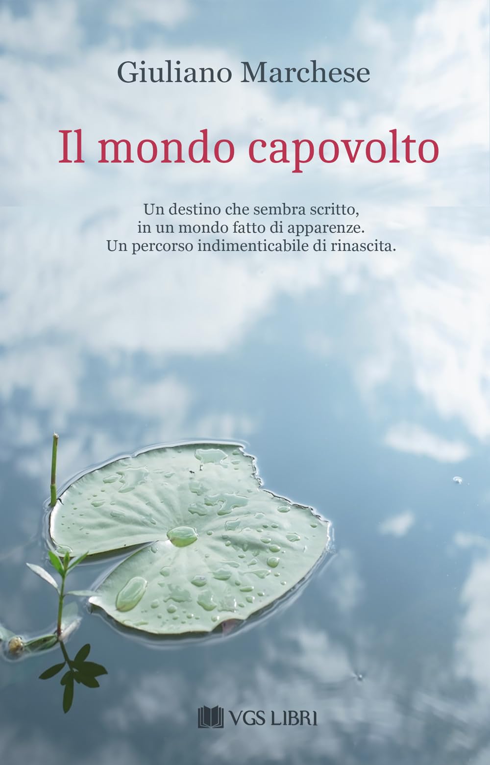 Il Mondo Capovolto - 4
