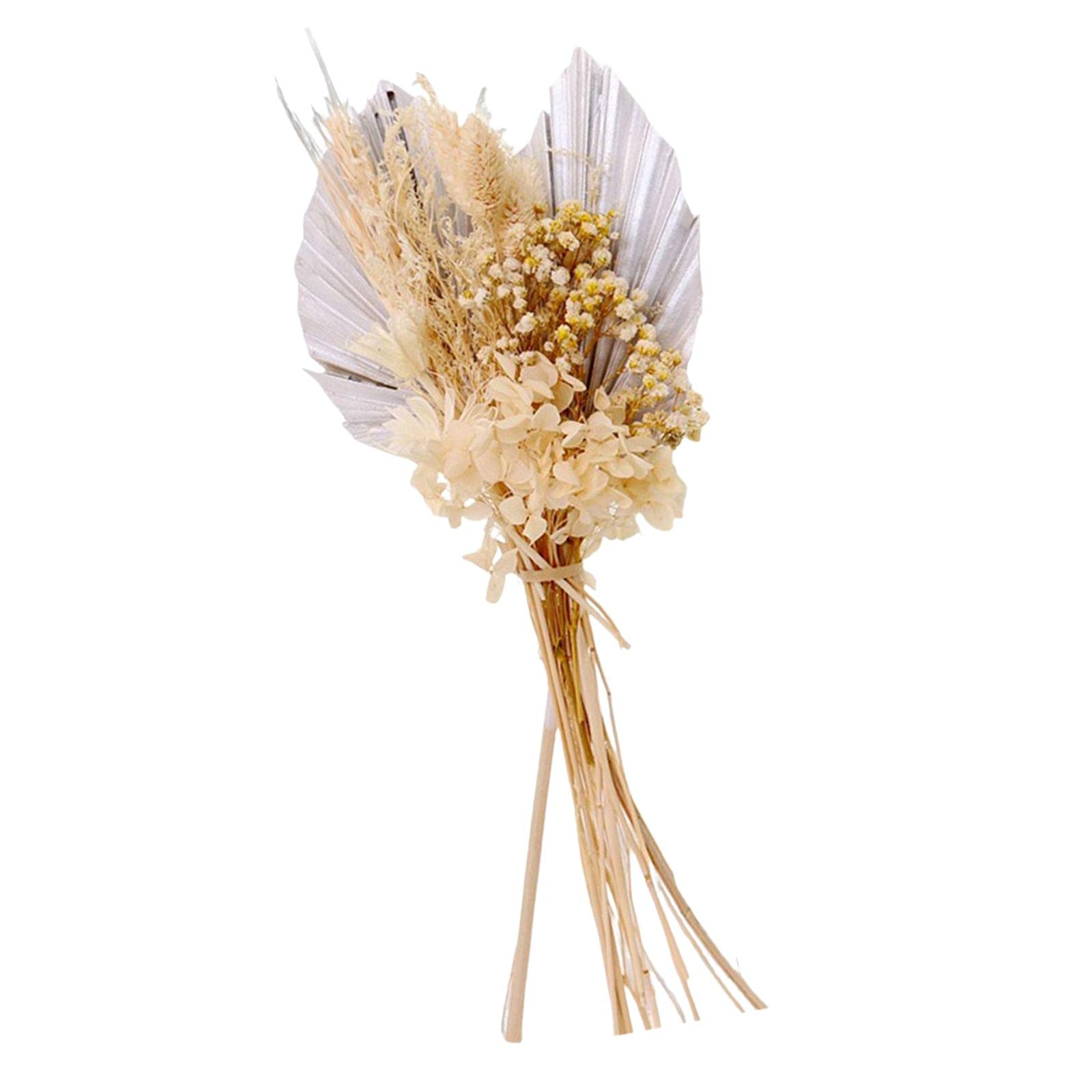 Natural Dried Wedding Flower Livingroom Home Boho Dried Pampas Grass Bouquet Silver-picture-20