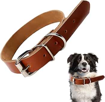 首輪 本革 大型犬 犬 ペット レザー エイ革 シンプル 頑丈 R38 43 首輪 本革 大型犬 犬 ペット レザー エイ革 シンプル 頑丈 R38 43