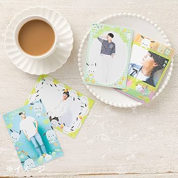 生写真用 Amazon.co.jp: サンリオ(SANRIO) ポチャッコ フォト用スリーブ