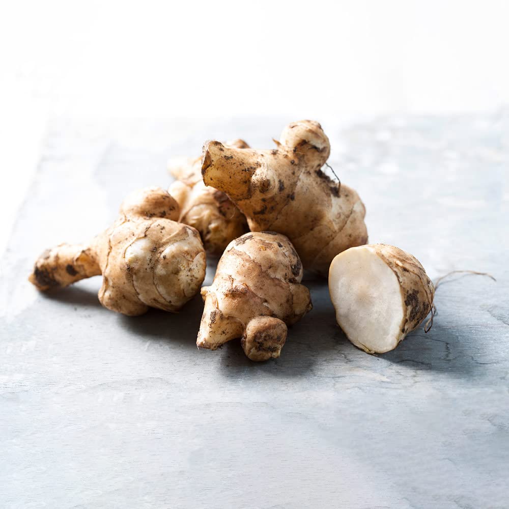 Jerusalem Artichoke Plug Plants. 'Papas Patio'. Extra Large Plug Plant x 3. Winter Root Veg. Compact for Patio pots. Available from Bedwen Plants