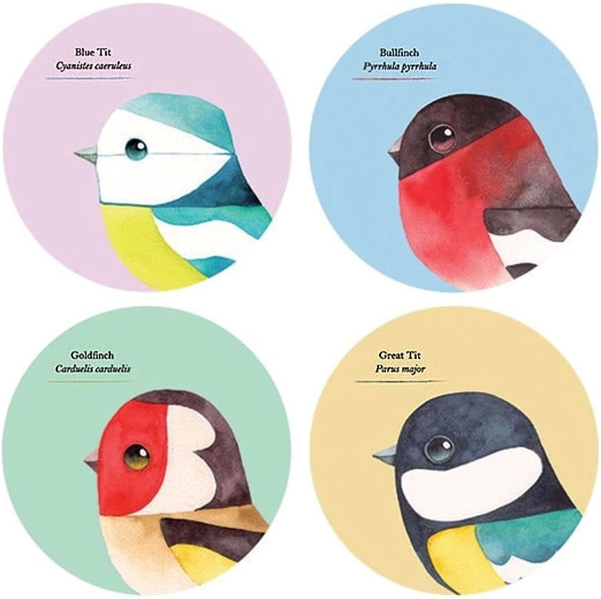 Matt Sewell Birds Set of 4 Coasters