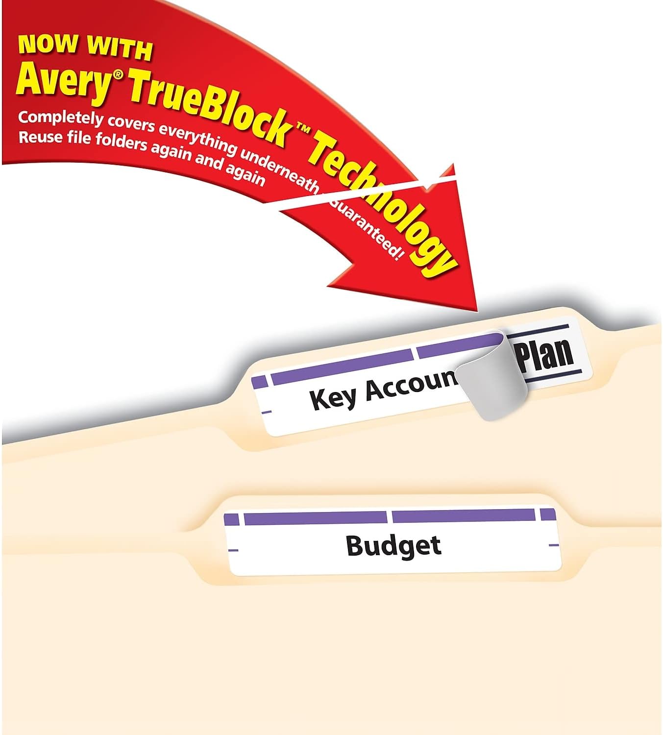 Avery 5666 Permanent Filing Labels, 1/3 Cut, 750/PK, Purple