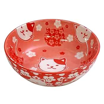 N*o様 ミシャコシャ/猫柄/ボウル 61wprwl41qL._UF350,350_QL50_.jpg
