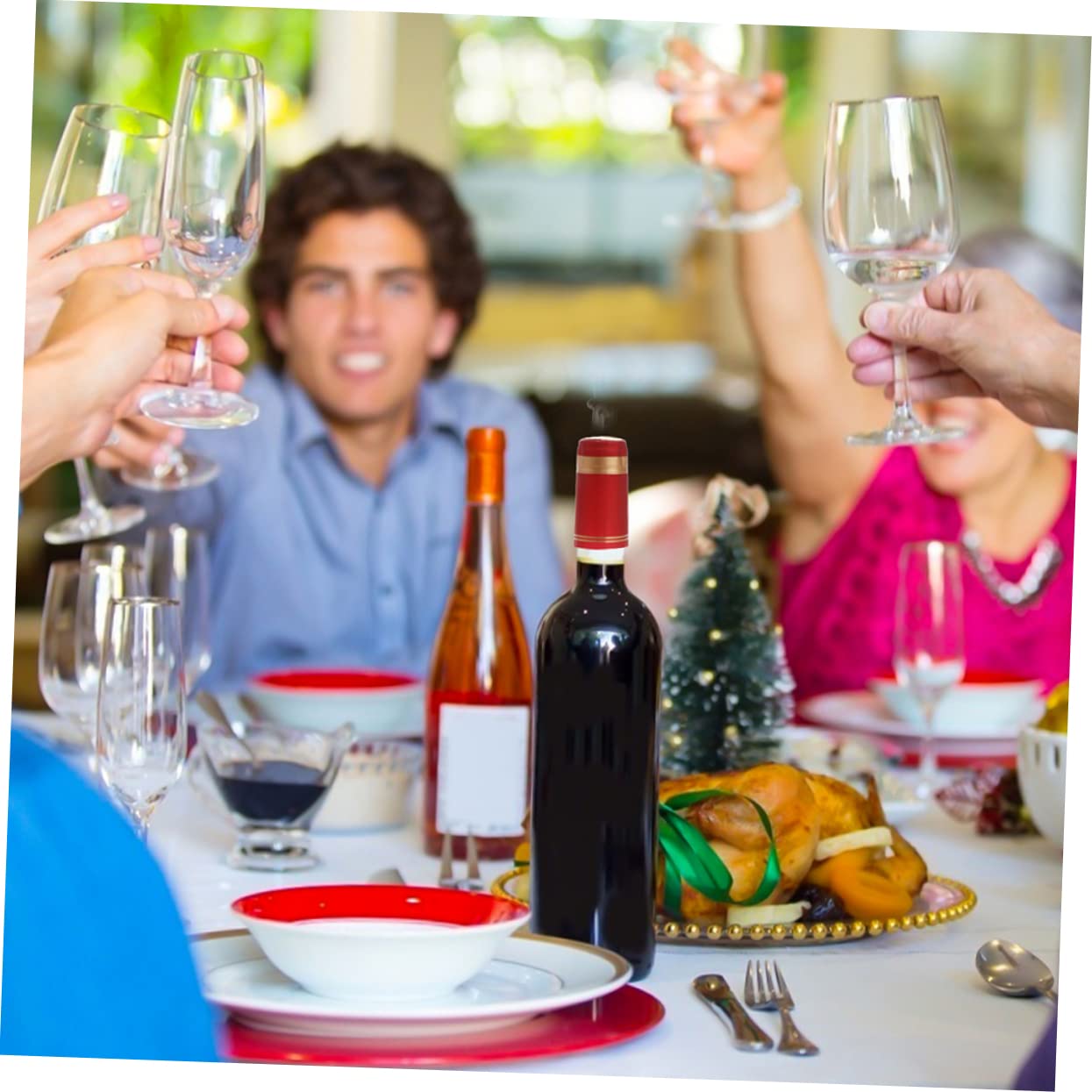 SOLUSTRE Pcs Wine Bottle Seal Capsules Red Wine Heat Shrinkable Rubber Cap Heat Shrink Sealing for Home Use