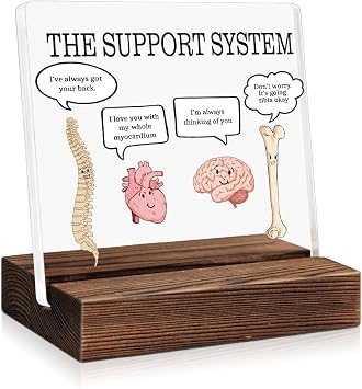 The Support System Funny Acrylic Plaque Sign with Wooden Stand, Cute Organ Acrylic Home and Office Decor Gifts for Doctor, Christmas Birthday Gifts for Nurse Medical Worker Health Care Worker