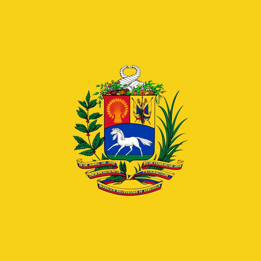 Drapeau Venezuela large armée présidentielle en tissu renforcé grand format