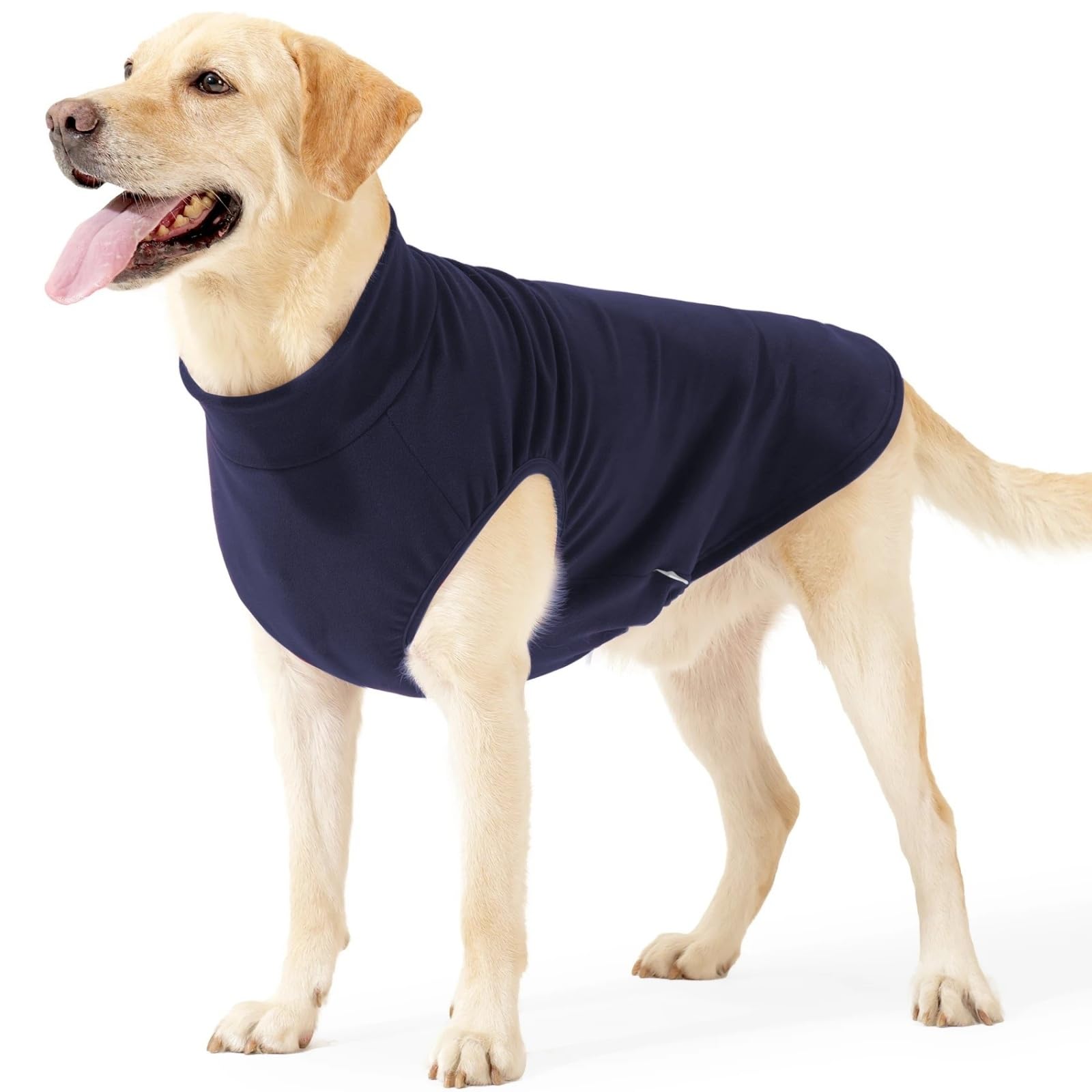 Manteau pour chien bleu taille M idéal pour les balades d'hiver au parc