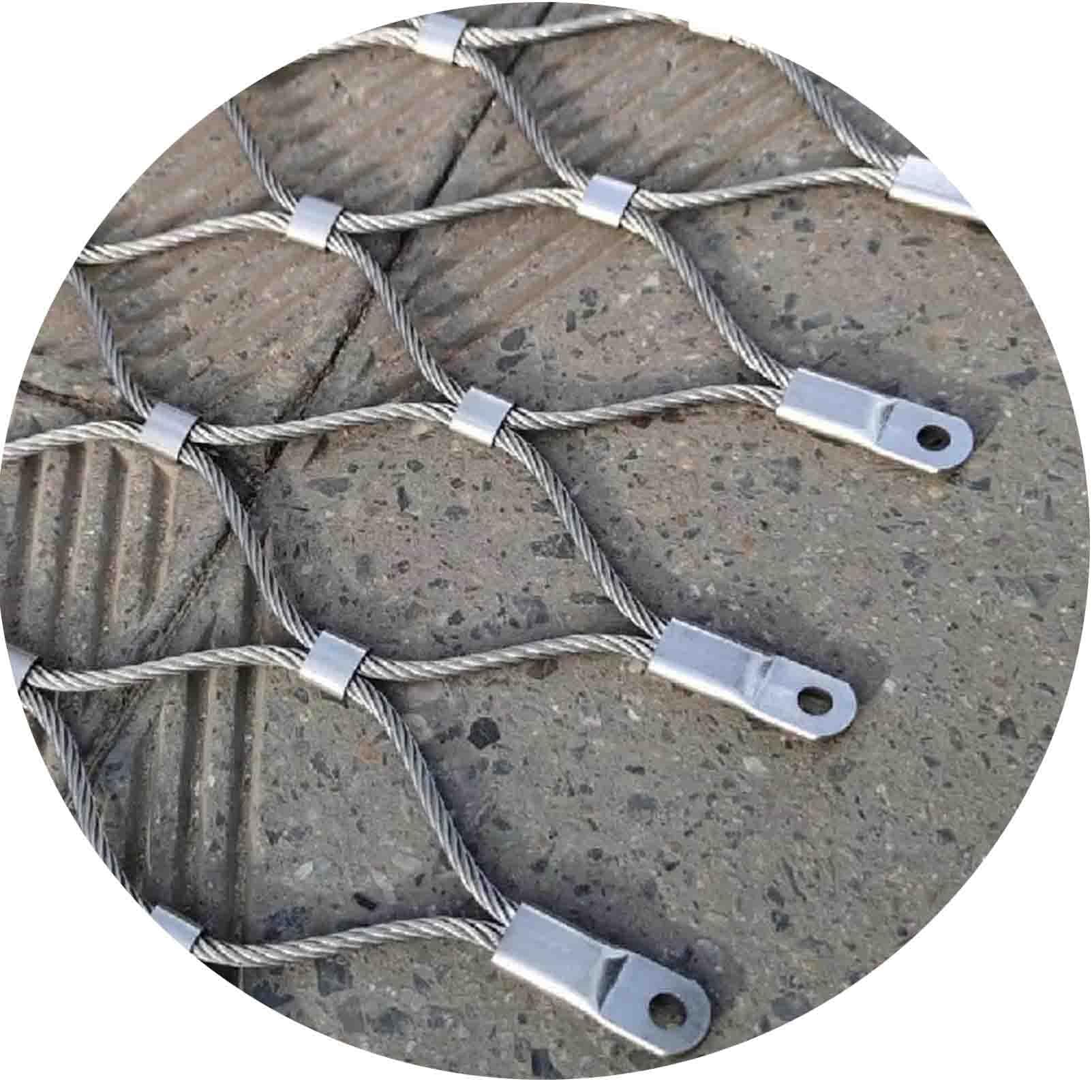 Maille d'escalade d'acier inoxydable contre l'affaissement des plantes de jardin
