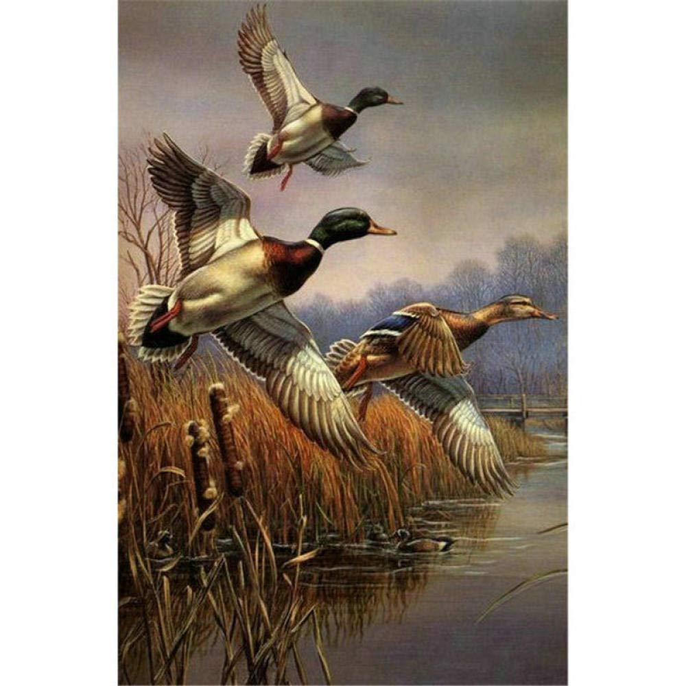 Kit DIY Diamond Painting Canard Sauvage - Toile 30x40 Cm, Strass Diamant, Loisir Créatif Adultes