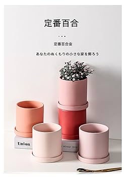 Amazon.co.jp: 陶器鉢 セラミック 鉢 受け皿付き 観葉植物 円筒