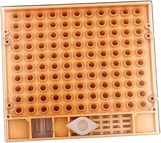 iplusmile Acessório De Apicultura Ferramenta De Abelha Caixa De Abelha Rainha Ferramentas De Apicultura Acessórios De Abelha Rainha Caixa De Alimentação De Abelha Rainha Caixa De Abelha