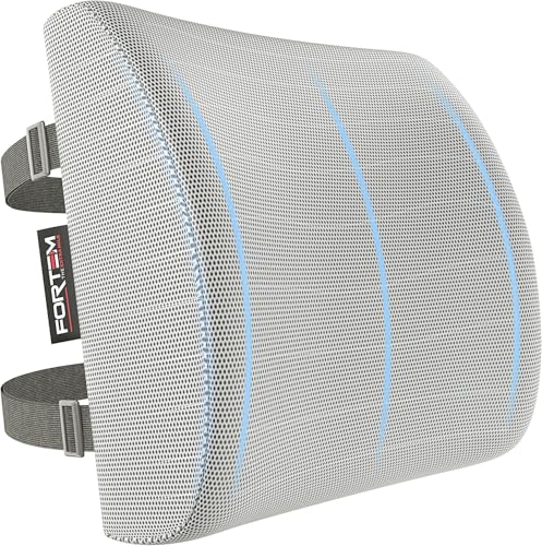 FORTEM Cojín Lumbar Ergonómico para Silla de Oficina, Coche y Gaming, con Espuma Viscoelástica de Alta Densidad y Funda Lavable, Respaldo Ortopédico para Mayor Comodidad