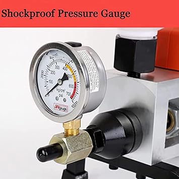 EAGLEG Grouting Gun Grout Injection Pump, 900W High Pressure Epoxy Polyurethane Foam Injection Pump for Concrete Crack Leak Repair in Pool House Roof Grouting Machine