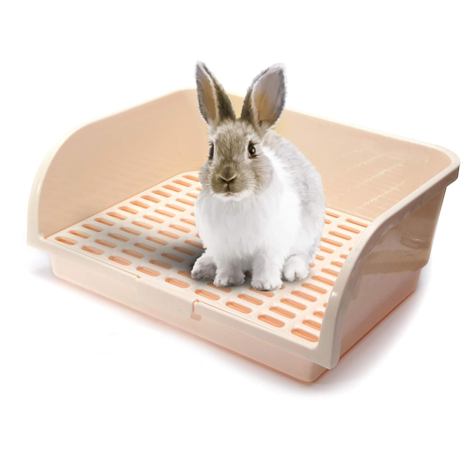 Lettiera Con Griglia Per Porcellini D'India E Piccoli Animali - Vasino, Facile Da Pulire, 25x19.5x3 Cm - Foto 10