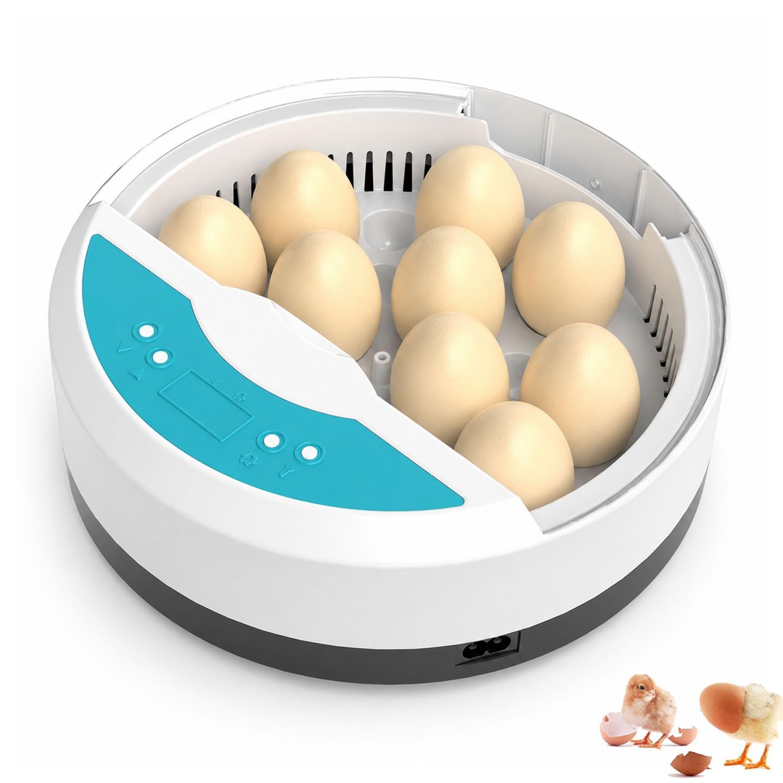 Incubatrice per 9 Uova con Controllo Automatico della Temperatura