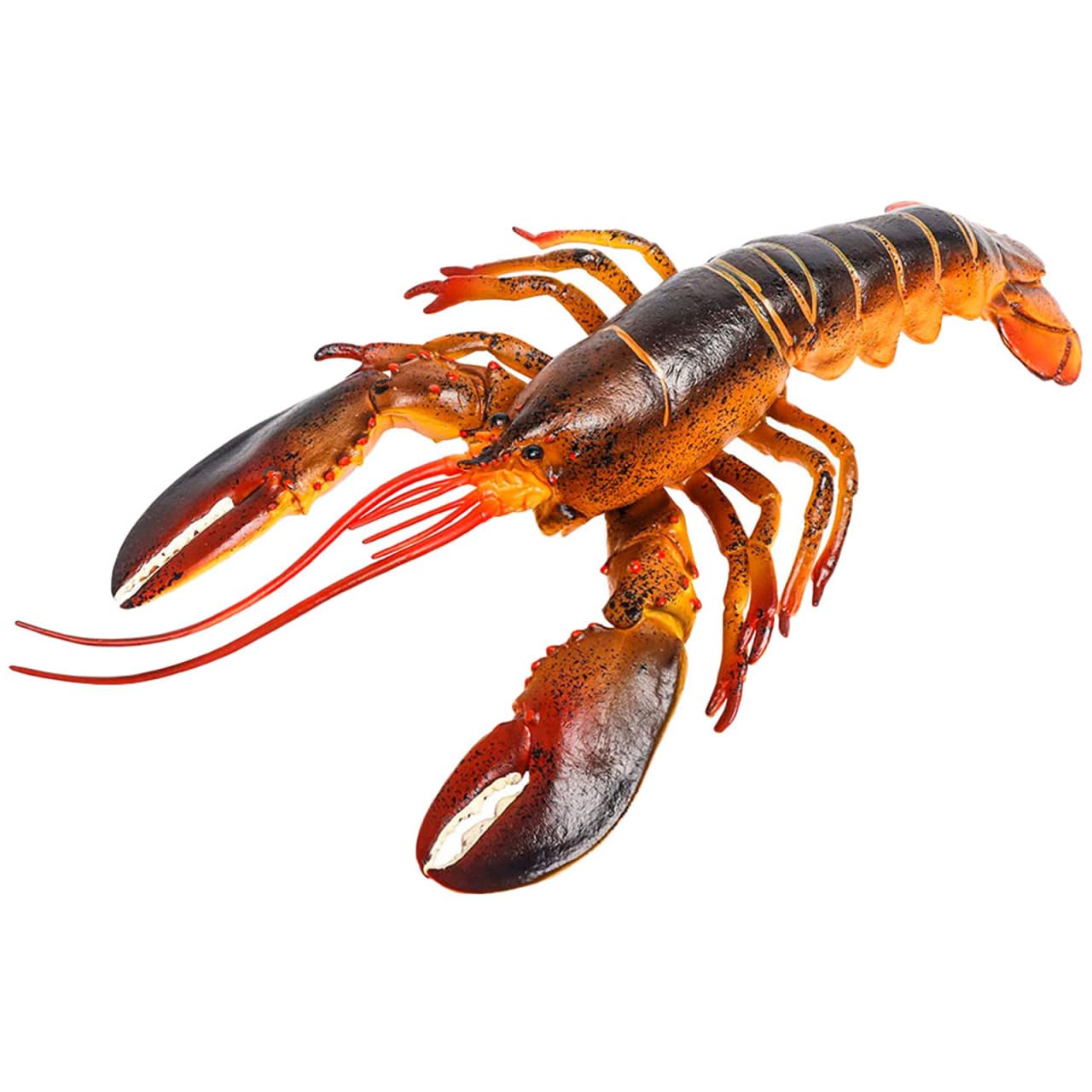 Amazon.com: FOMIYES Lobster Model Simulation, Shrimp Figurines