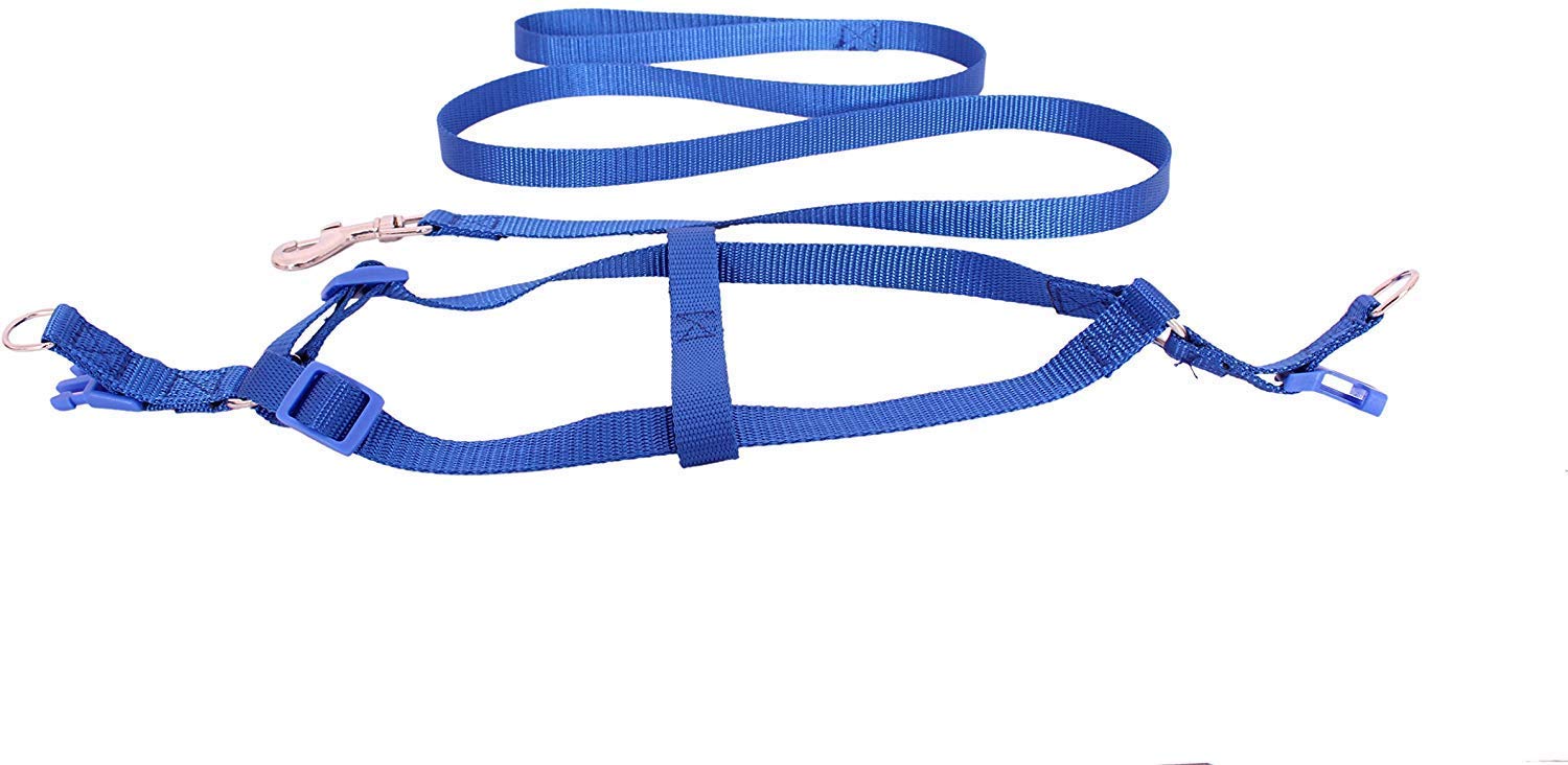 Emily Pets Adjustable Leash & Harness Set for Puppy & Small Breed Dogs (Blue) (B08N197V3Q) Amazon Price History, Amazon Price Tracker