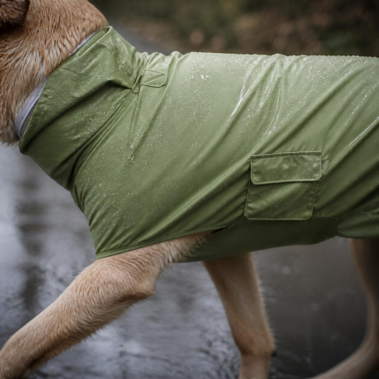 Hunde-Regenmantel, mit Kapuze, 6XL