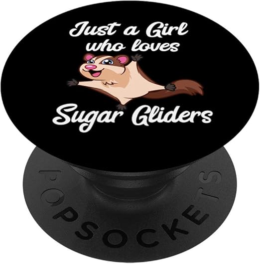 sugar glider accessories amazon