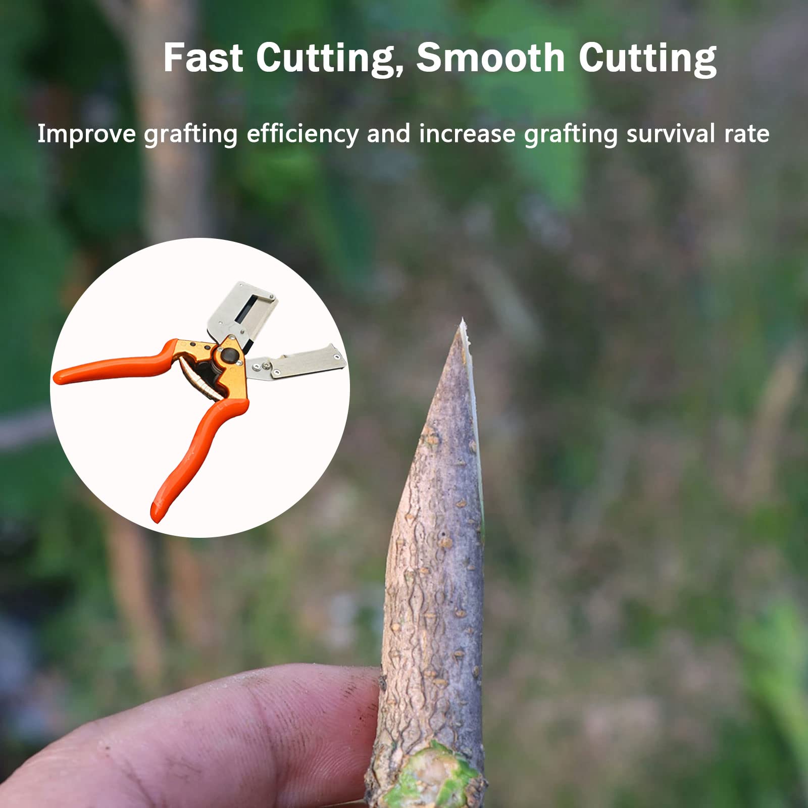 Forbice per Innesti e Potatura, Giardino Innesto Kit di Attrezzi per Efficiente Potatura e Innesto, con Lame di Ricambio, Forbici da Innesto per Albero da Frutto/Vigneto/Pianta/Ramo, Grafting Tool
